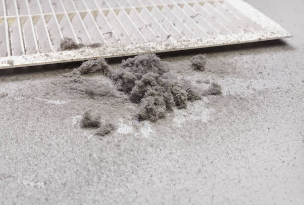 Best Ductwork Cleaning Services  in Spanish Springs, NV