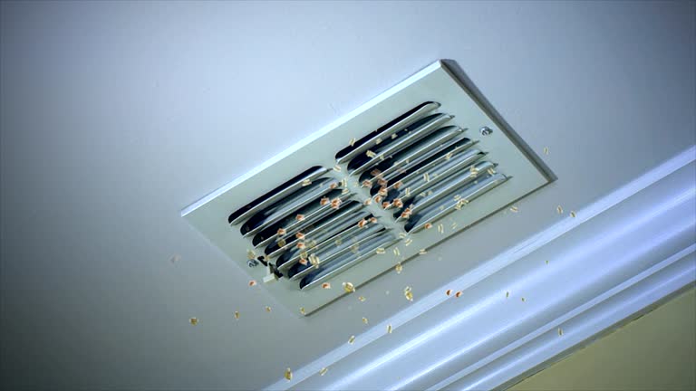 Best Professional Duct Cleaning Services  in Spanish Springs, NV